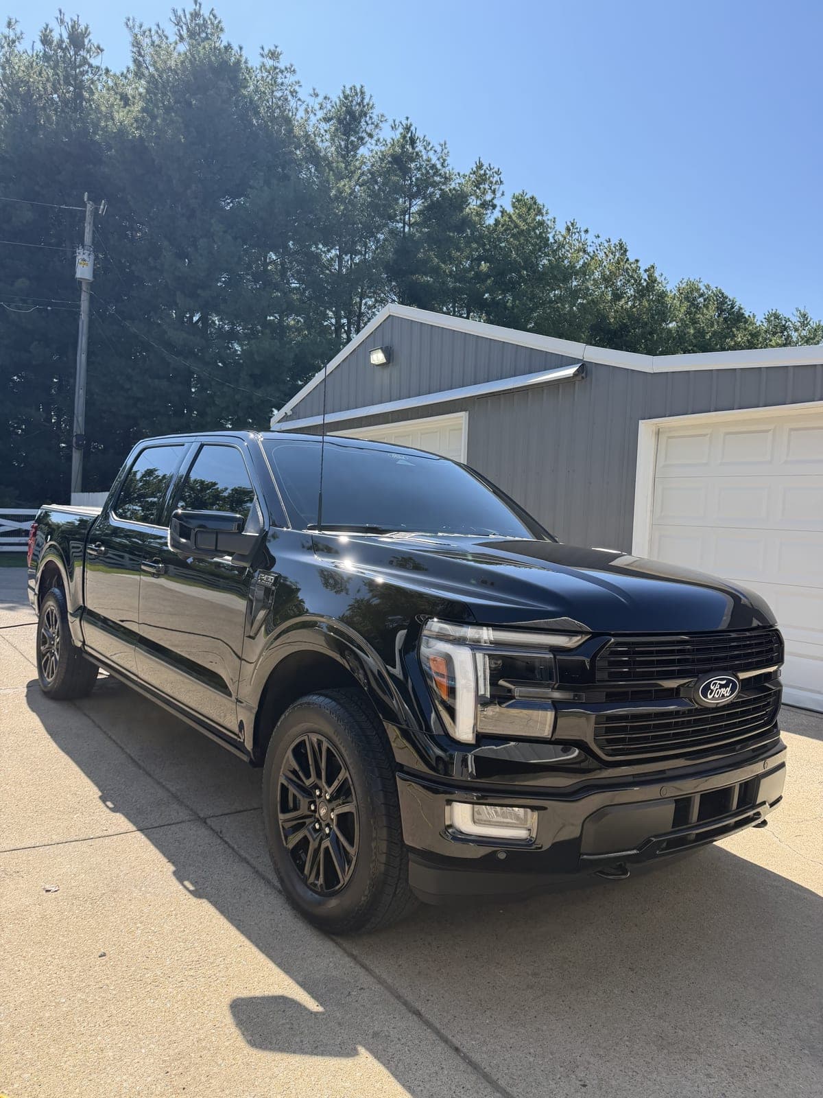 Black Ford F-150 after an exterior detail